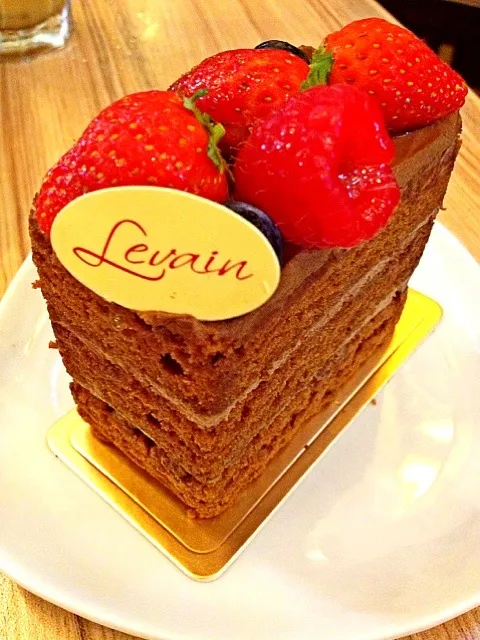 Berries shortcake|(=^x^=)さん