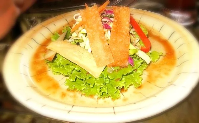 Grilled Chicken & Fried Wanton with Mixed Greens in Oriental Soy Dressing|Jhanineさん