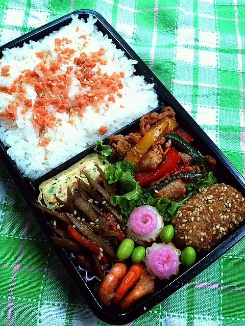 Snapdishの料理写真:12,11.19 男子高校生弁当|yukiさん