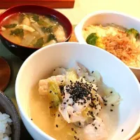 鶏ムネ肉とキャベツの塩麹ほろほろ煮|tangtang1113さん