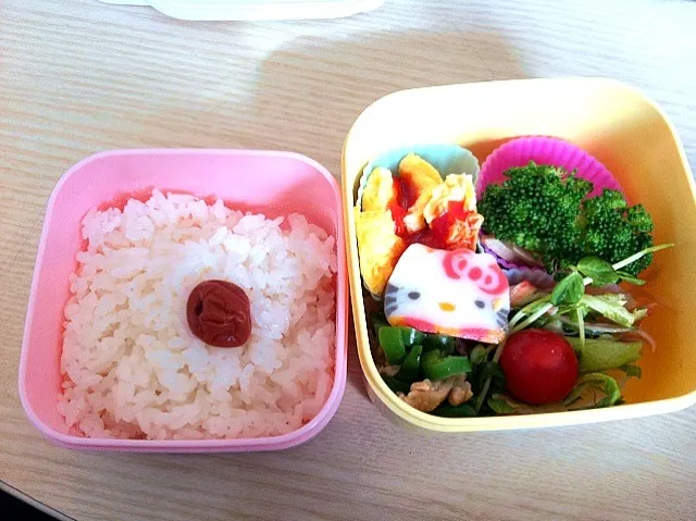 Snapdishの料理写真:お弁当|はるにゃすさん