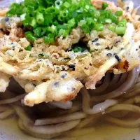 Snapdishの料理写真:日本一の蕎麦|赤津 卓弥さん