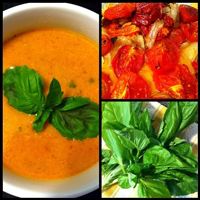 Tomato Basil Soup|trina phamさん