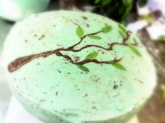 Mint chocolate chip cake|miguel castro alconさん