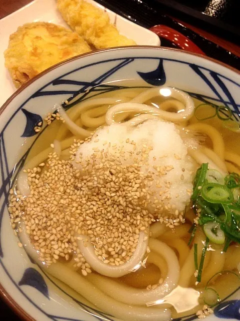 丸亀製麺、かけ|いぐあなさん