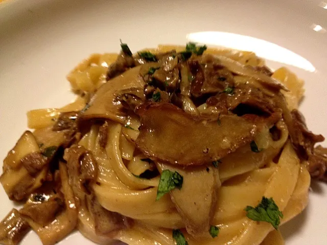 Fettuccine ai Funghi Porcini Freschi|ダンナさん