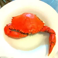 steamed crab|Natalie Nano Melloさん