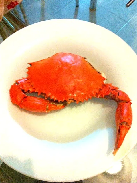 steamed crab|Natalie Nano Melloさん