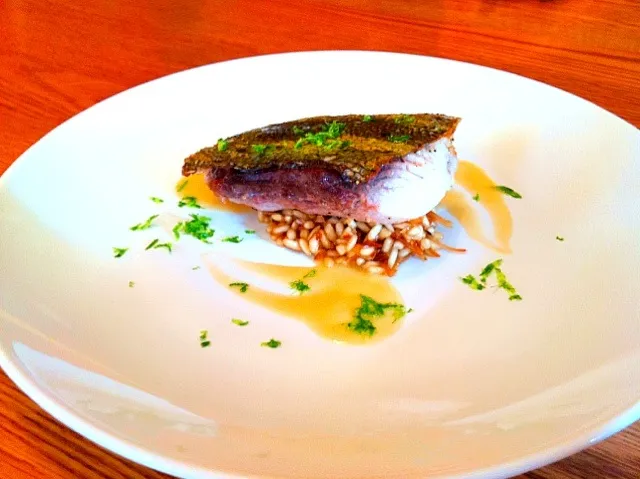 Pan Seared Mahi Mahi with Coconut Risotto, Plum Wine Cream Sauce and Lime Zest|Andrew Behrensさん