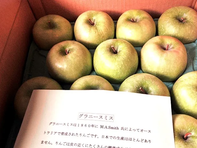 グラニースミスが届きました！ 何を作ろう？やっぱりアップルクランブル？|松浦有里さん