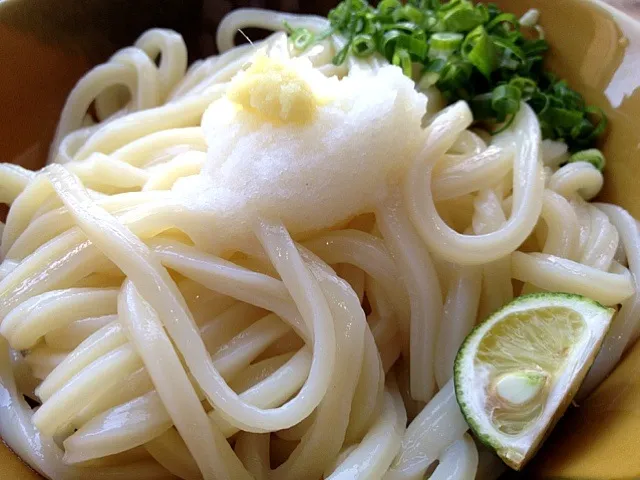 醤油うどん、半熟卵天つき|yossiniさん