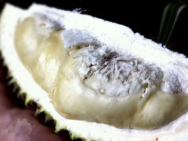 Durian, King of Fruits.|Liang Teng Seahさん