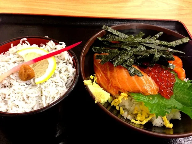 しらす丼とサーモンいくら丼|優作さん