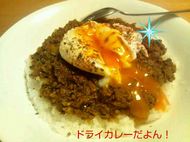 お店出せるかな!(^^)!激旨ドライカレー|cookingパパ五郎さん