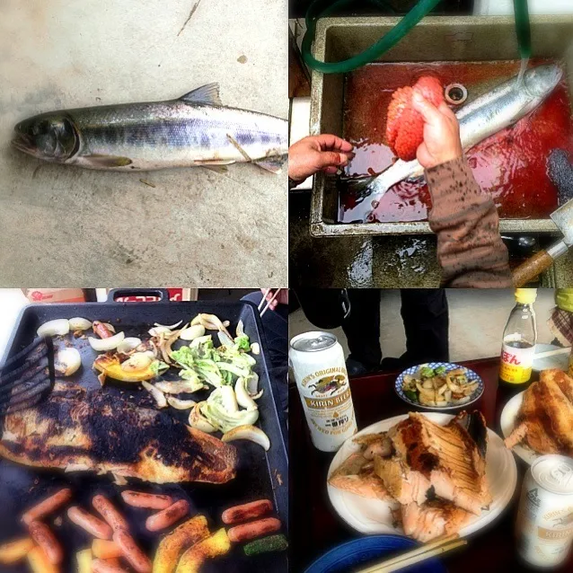 2012.11.23 那珂川で釣れたての鮭でBBQランチ🍻🍻🍻|ゆみずさん