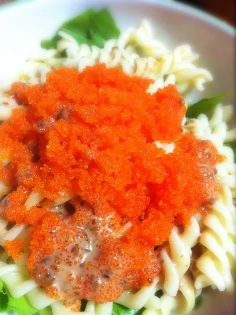 Macaroni salad with ebiko with roasted sesame dressing|Pim Patanasuthikulさん