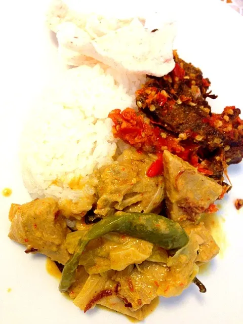 Nasi padang|reviliaさん