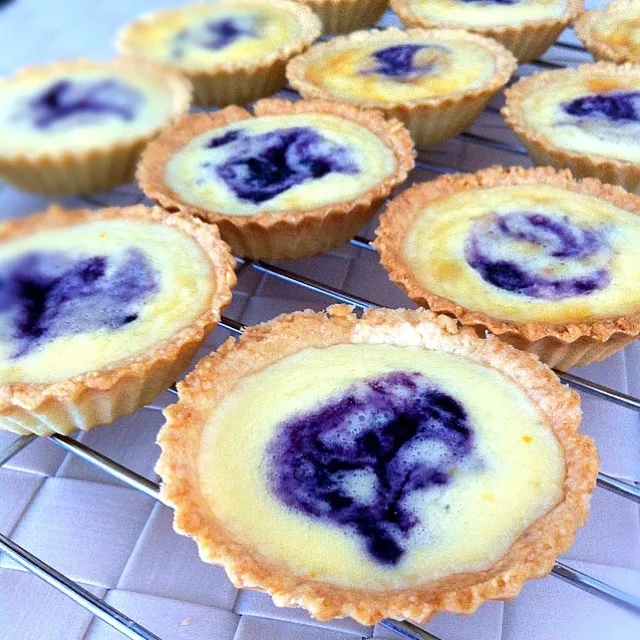 Blueberry Cheese Tart|shirlynさん