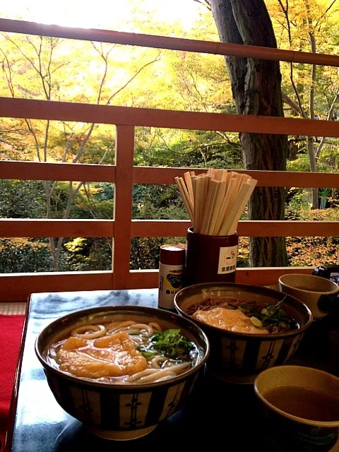 清水寺で、紅葉を見ながらのうどん♥晴れてたし、紅葉とっても素敵でした(^_^)|maikaさん