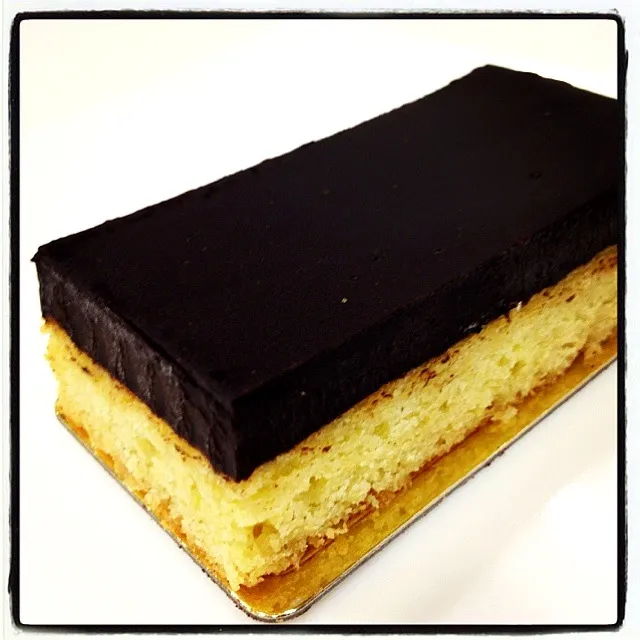 sea salt dark choc slice|willzさん