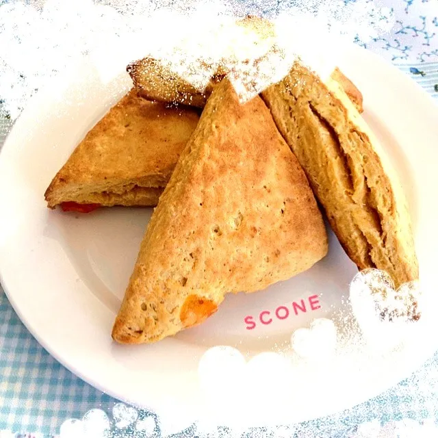 SCONE  柿救済‼|ぽこぽこぷーさん