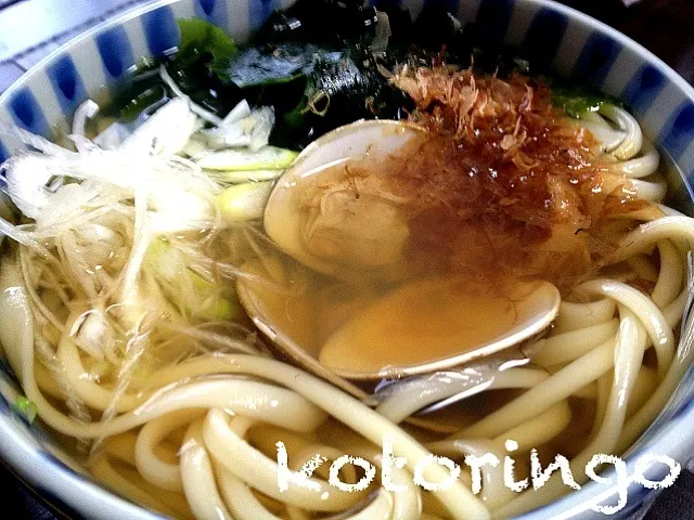 Snapdishの料理写真:蛤うどん|コトさん