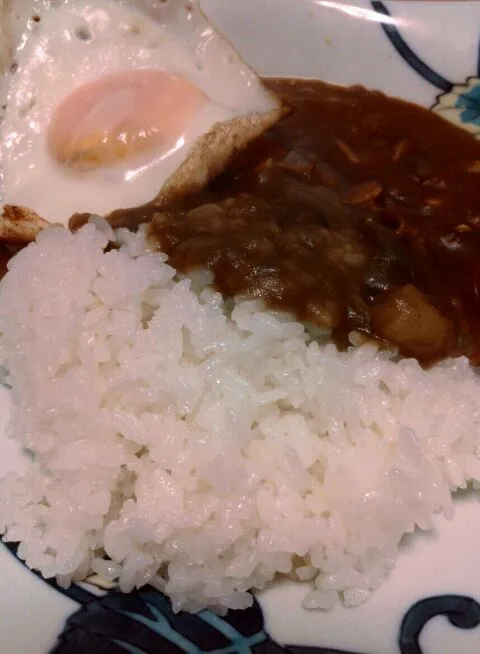 野菜ジャワカレー|カレーオヤジさん