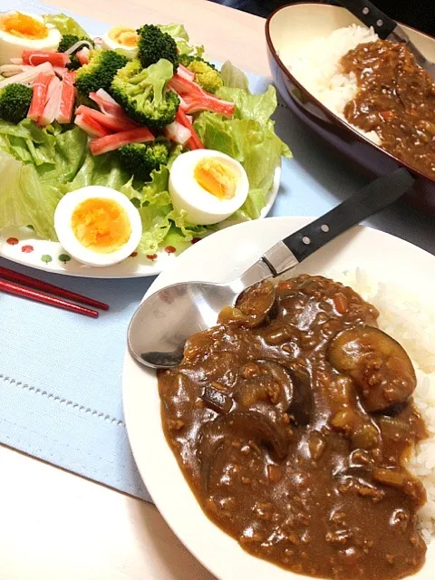 これはうまい！ナスと挽肉カレー|はるかさん