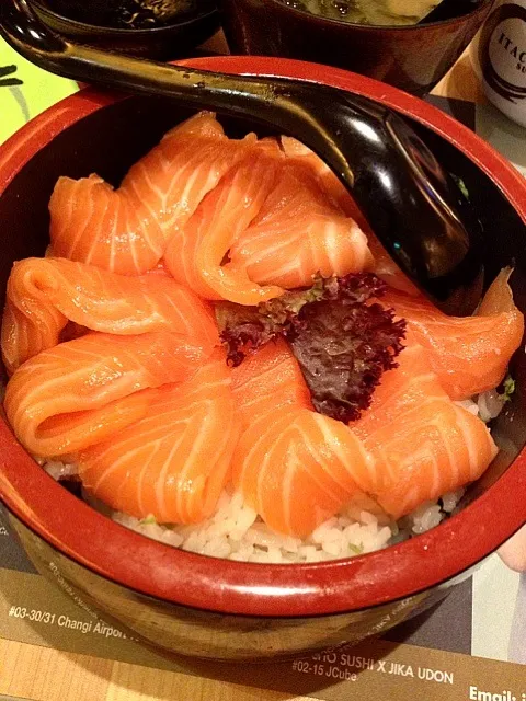 Snapdishの料理写真:salmon sashimi don|Winnie Tanさん