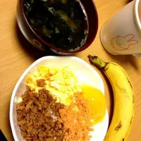 Snapdishの料理写真:鶏そぼろと鮭の三色丼|礼衣さん