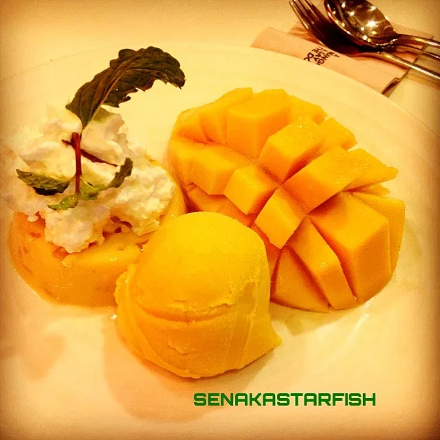 Mango Tango @Mango Tango,Bangkok,THAI|愛さん