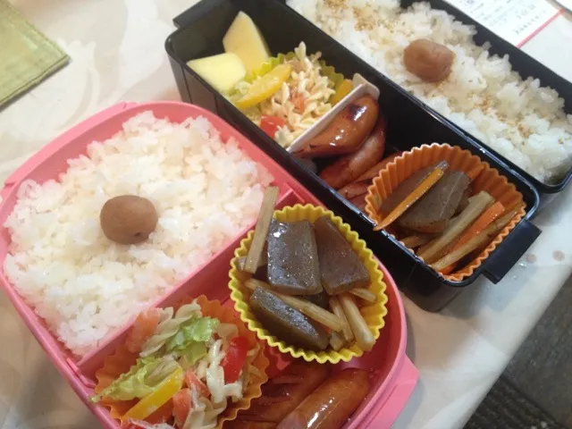 今日の夫婦お弁当|はちーさん