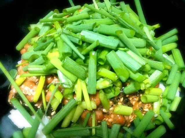 ネギだく海苔胡麻納豆丼|gekoさん