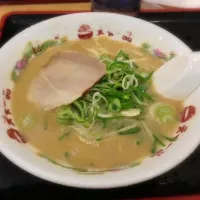 Snapdishの料理写真:天下一品 こってりラーメン|長谷川太志さん