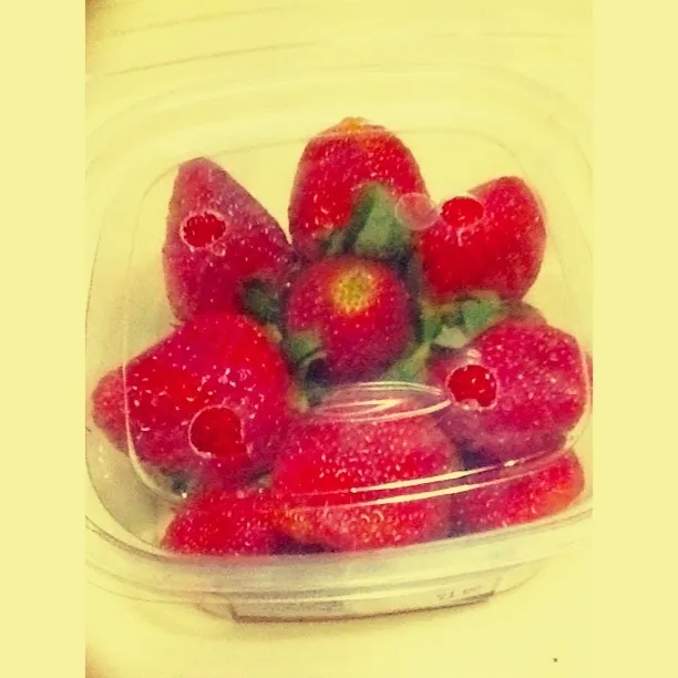 Sweet Strawberry From Chiang Mai|Little Tomatoさん