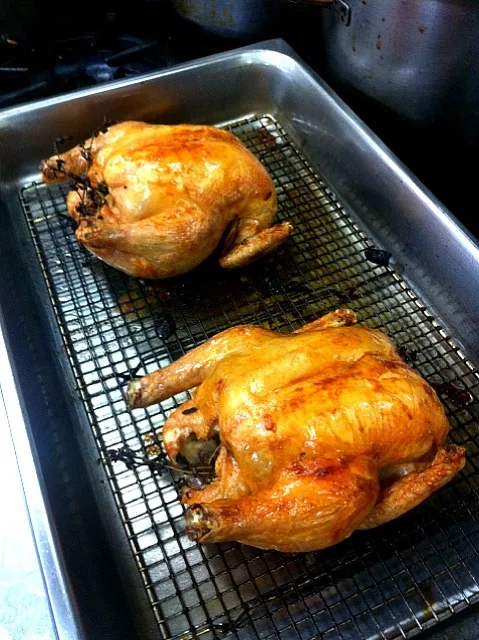 Roast chicken for special order,communal style|Rhythmiqueさん