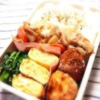 Snapdishの料理写真:今日のだんな弁当|mjukさん