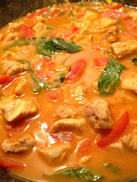 Thai Red Curry!!!|Owfu B.さん