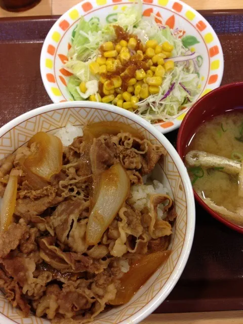 牛丼(並)サラダセット 710kcal 380円|Shigechika AIKAWAさん