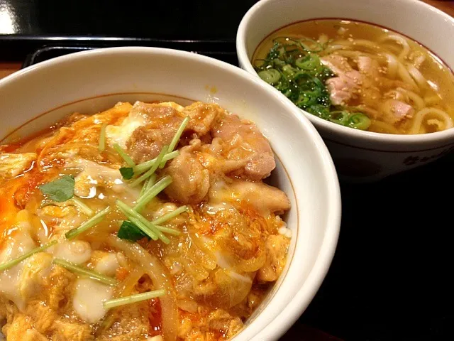 Snapdishの料理写真:親子丼 鳥塩小うどん|ひろろーんさん