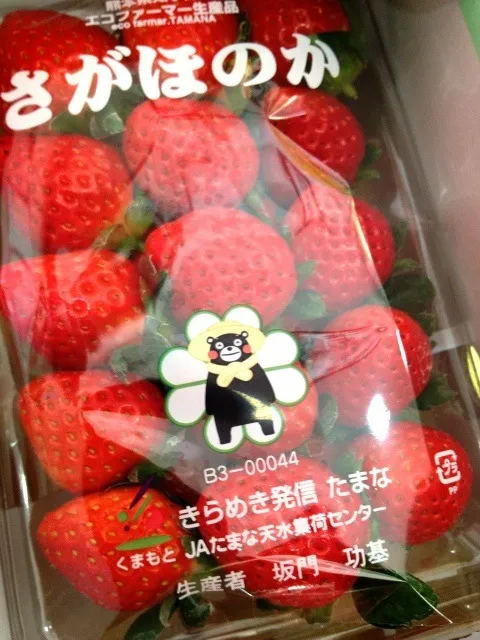 さがほのか🍓にくまもんついてる( ´艸｀)|かまさん