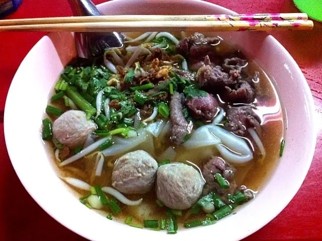 ก๋วยเตี๋ยวเส้นใหญ่ タイラーメン 米太麺@タイの屋台|akiさん