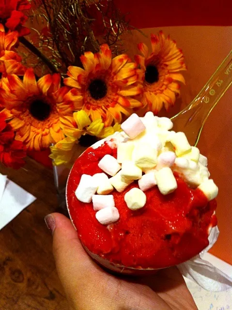 Gelato ice cream:  raspberry + mango yoghourt topped with mini marshmallows ^^|manasi bhargavさん