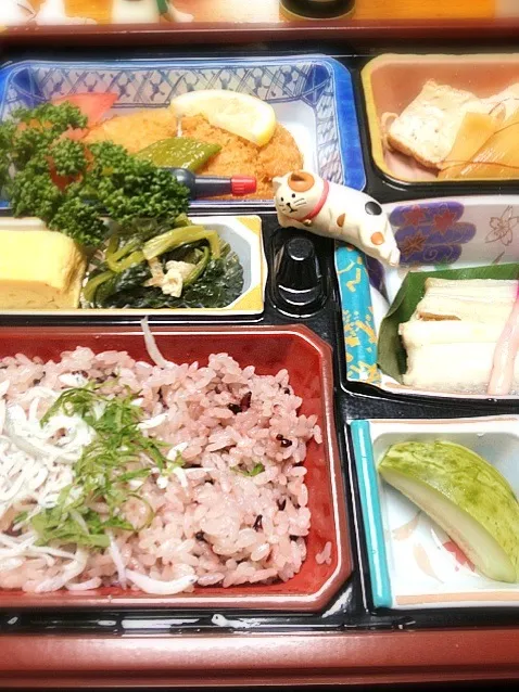 Snapdishの料理写真:昨日の配給仕出し弁当|まゆさんさん