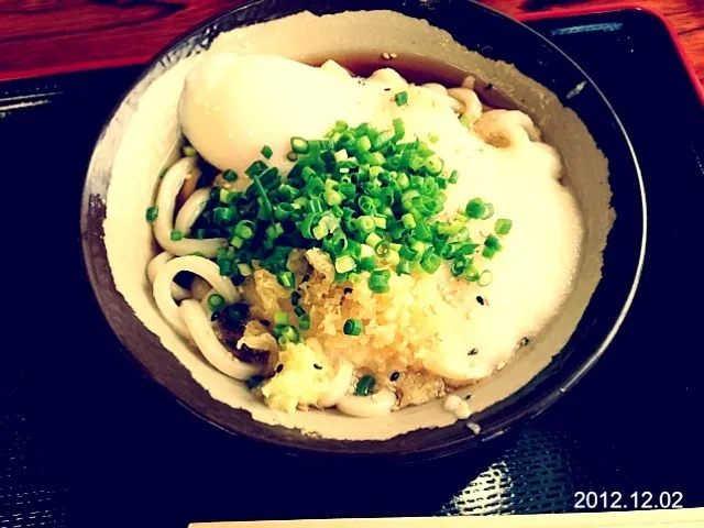 Snapdishの料理写真:讃岐うどん|渡邉さやかさん