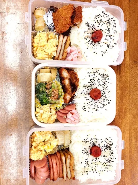 Snapdishの料理写真:お弁当|垣添ななさん