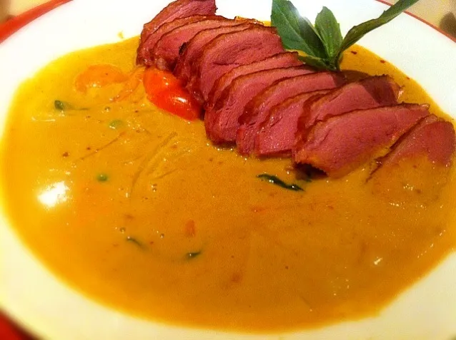 Snapdishの料理写真:Roast duck in red curry|sankunoさん