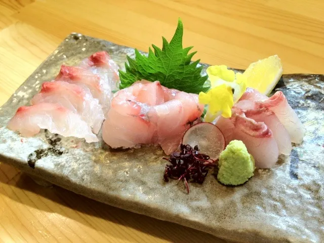 Sashimi Kelp grouper and sea robin|do dyuさん