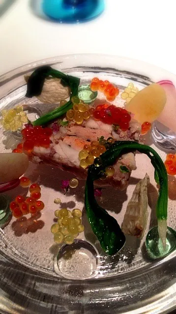 Snapdishの料理写真:鮟鱇のテリーヌ イクラと岩魚の卵、色々蕪添え@リストランテ キメラ京都|ユーリーさん