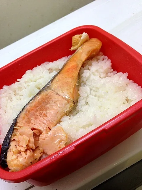 格安、これぞ男弁当（−＿−；）|けんたさん